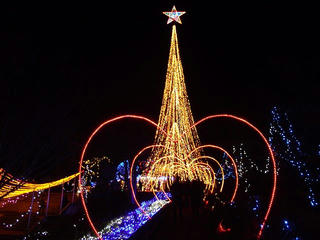 161224_1826_須坂アートパーク イルミネーションフォレスト ザ・ファイナル（須坂市）