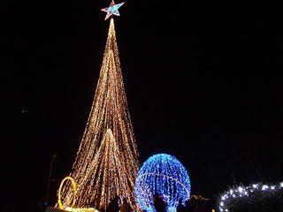 161224_1829_須坂アートパーク イルミネーションフォレスト ザ・ファイナル（須坂市）