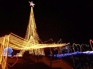 161224_1841_須坂アートパーク イルミネーションフォレスト ザ・ファイナル（須坂市）