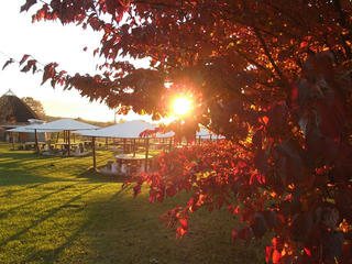 161105_1649_八ヶ岳農業中央実践大学校（原村）