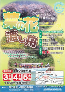 17_菜の花渡し舟（飯山市）