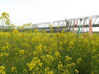 170503_0659_千曲川ふれあい公園（小布施町）