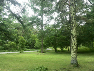 170705_1153_一の鳥居苑地（長野市）