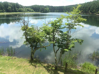 170706_1049_2_大座法師池（長野市）