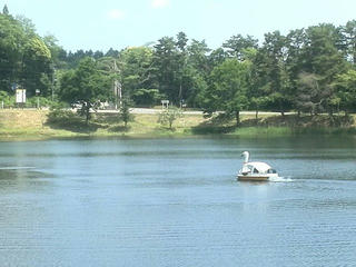 170707_1041_大座法師池（長野市）