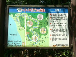 170707_1037_小天狗の森（長野市）