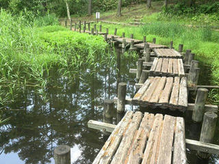 170707_1022_小天狗の森（長野市）