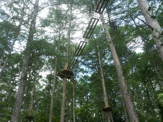 170707_1018_フォレストアドベンチャー・長野（長野市）