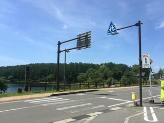 170711_1022_大座法師池（長野市）