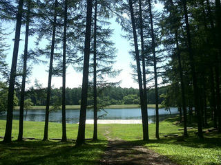 170711_1032_大座法師池（長野市）