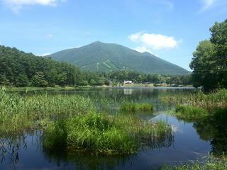 170711_1040_大座法師池（長野市）