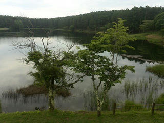 170713_1416_大座法師池（長野市）