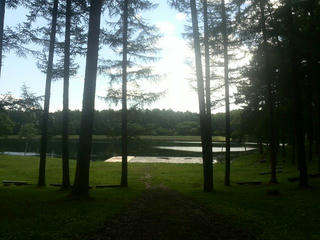 170714_1013_大座法師池（長野市）