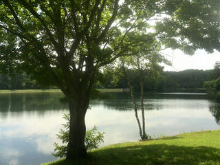 170714_1015_1_大座法師池（長野市）