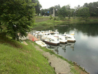 170718_1158_大座法師池（長野市）