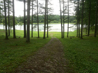 170718_1155_大座法師池（長野市）