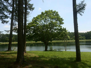 170719_1136_大座法師池（長野市）