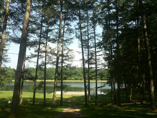 170720_1447_2_大座法師池（長野市）