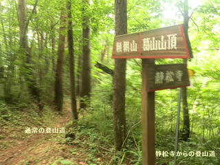 170811_1132_葛山登山口分岐（長野市）