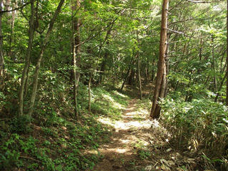 170811_1310_葛山山頂から郷路山へ（長野市）