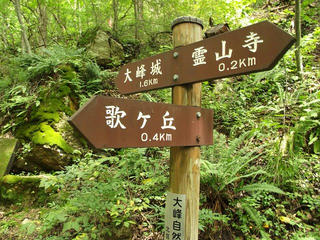 170820_1106_大峰遊歩道（長野市）