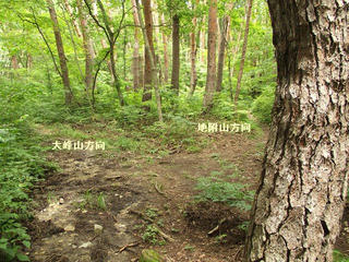 170820_1149_大峰遊歩道との分岐（長野市）