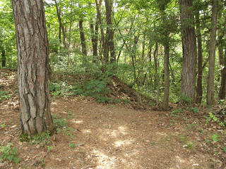 170820_1229_桝形城跡（長野市）