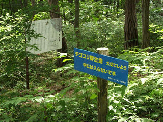 170820_1256_上池ノ平古墳群 第６号古墳（長野市）