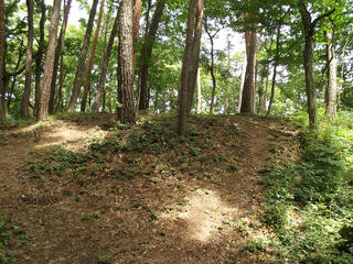 170820_1255_上池ノ平古墳群 第６号古墳（長野市）