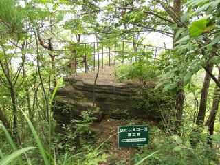 170820_1310_地附山旗立岩（長野市）