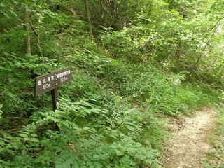 170820_1415_地附山跳駒コース・金毘羅宮への分岐（長野市）