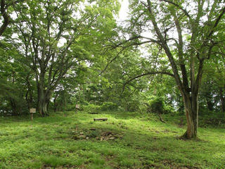 170822_1208_旭山山頂（長野市）