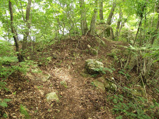 170822_1217_旭山（長野市）