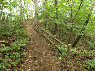 170822_1234_2_旭山（長野市）