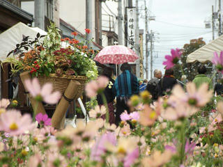 171015_1312_2017 寺町花街道 いいやま花フェスタ（飯山市）