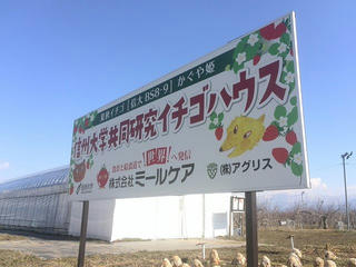 180223_1048_み～る農園（長野市）