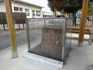 191130_1103_北宿並木一本松跡（茨城県高萩市）