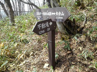 190503_1004_虫倉山不動滝コース 天城平分岐（長野市）