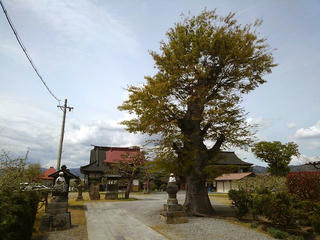 190429_1133_善導寺（長野市）