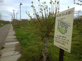 190429_1220_長沼城 おんま通り（長野市）