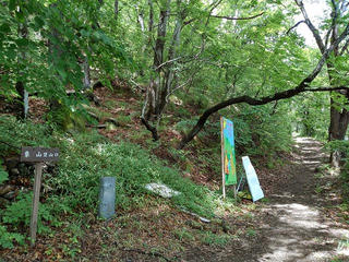 190823_1112_象山登山道（長野市松代町）