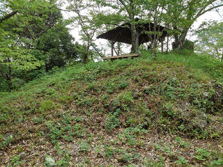 190823_1122_象山登山道（長野市松代町）