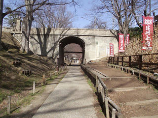 200224_1300_上田城跡公園・けやき並木遊歩道（上田市）