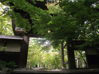 201018_1218_真宗大谷派 浄光山顕正院 称念寺（飯山市）
