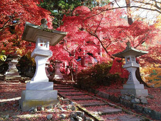 201115_0825_若穂保科・清水寺の紅葉（長野市）