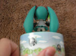 DSC00975.JPG