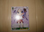 DSC01023.JPG
