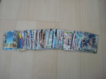 DSC01020.JPG