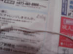 DSC01127.JPG