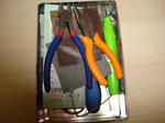 DSC01151.JPG